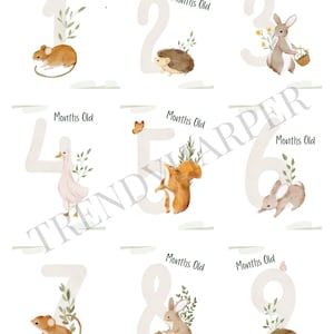 Cartes d'étape aquarelle pour bébés – 32 cartes de croissance mensuelles imprimables pour bébé | Thème animaux, fleurs et verdure | Téléchargement instantané