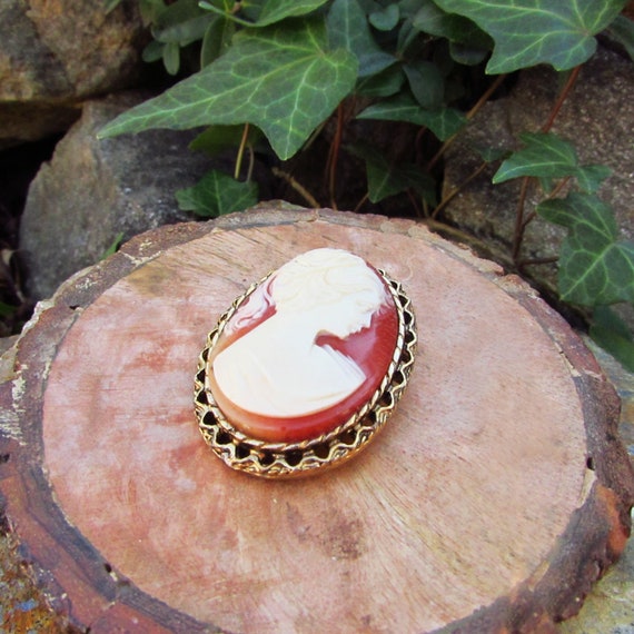 1950s Carved Lucite Cameo Brooch - image 3