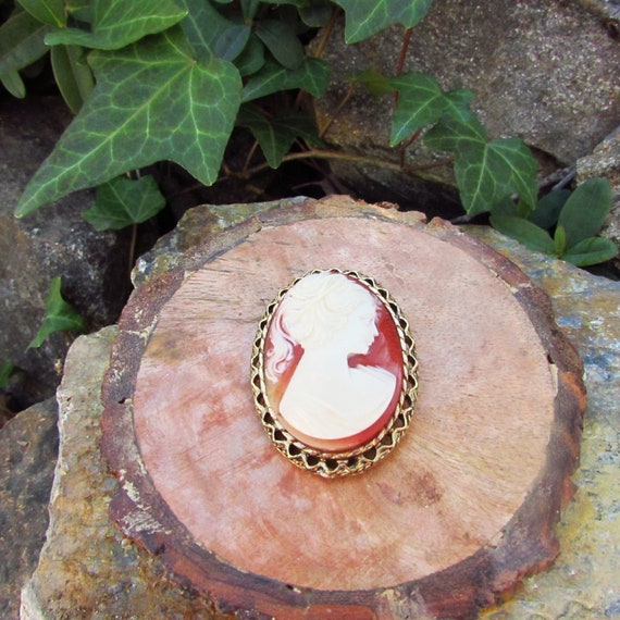 1950s Carved Lucite Cameo Brooch - image 1