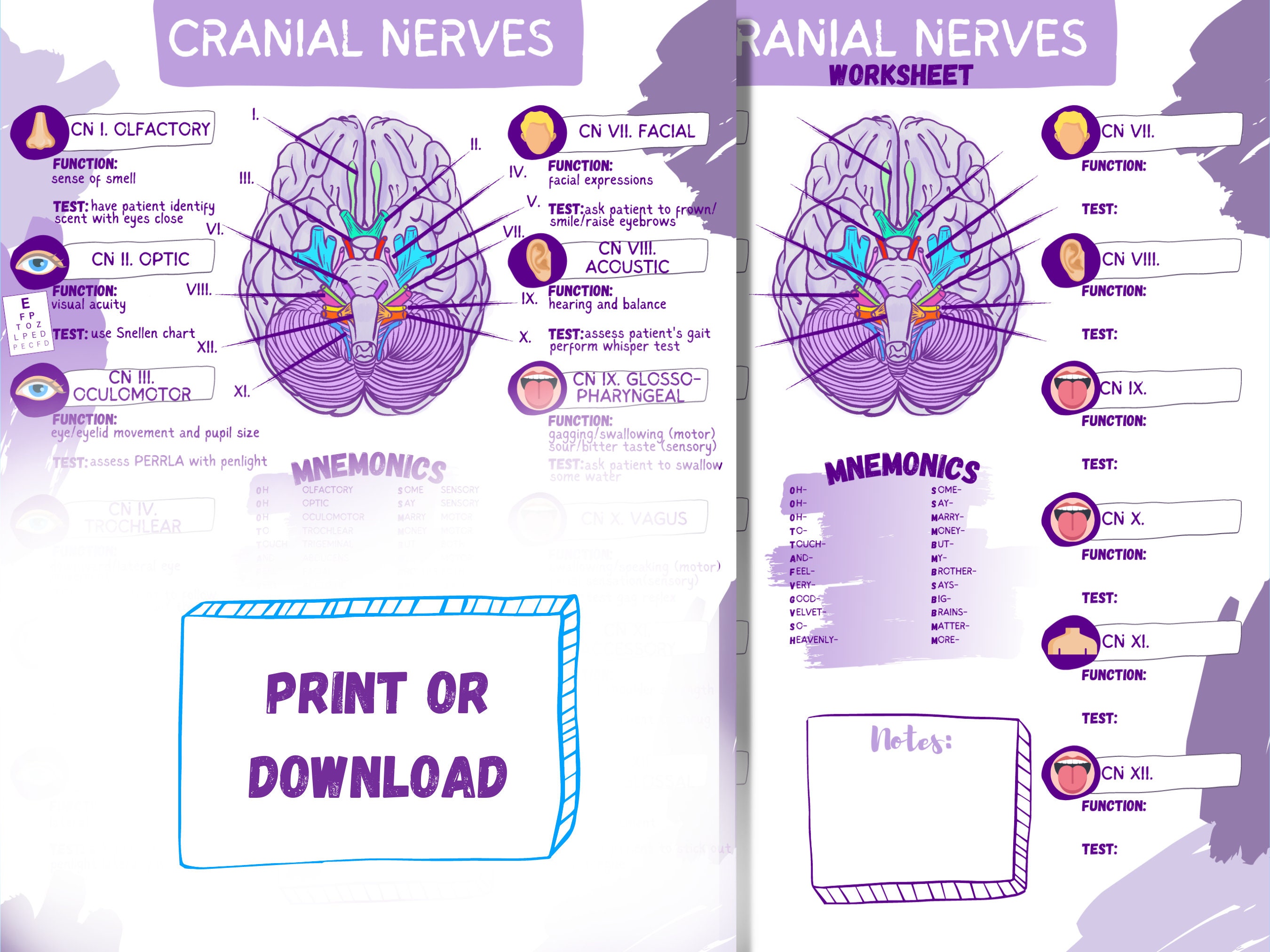 Cranial Nerves & Functions Worksheet Template-student Nurse - Etsy Canada