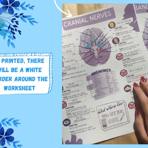 Cranial Nerves & Functions Worksheet Template-student Nurse Review ...