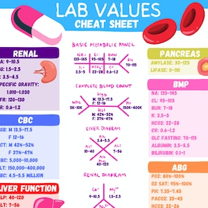 Nursing Lab Values Cheat Sheet Study Guide-Student Nurse and RN Review Sheet-2 Page PDF Digital Download
