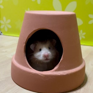 Terracotta flower pot hideout ceramic cooling for summer for small animals hamsters gerbil mice degu reptile house hide home syrian dwarf