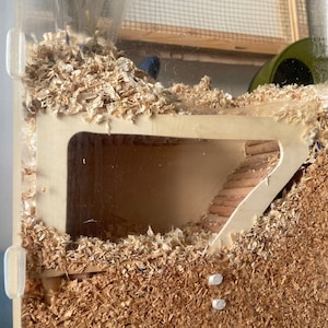 Hamster watchbox underground tunnel hideout house home for gerbil small animal rodent reptile spider birch basswood beech dowel wood burrow