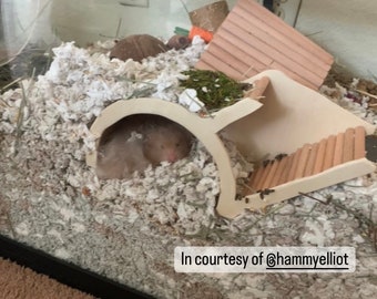 Hamster watchbox underground tunnel hideout house home for gerbil small animal rodent reptile spider birch basswood beech dowel wood burrow