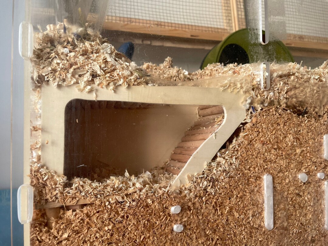 Hamster Watchbox Underground Tunnel Hideout House Home for Gerbil Small