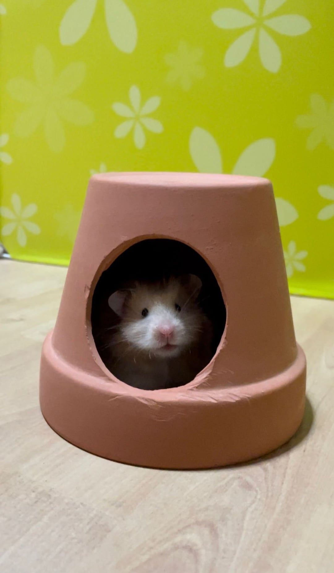 Terracotta Flower Pot Hideout Ceramic Cooling for Summer for Small