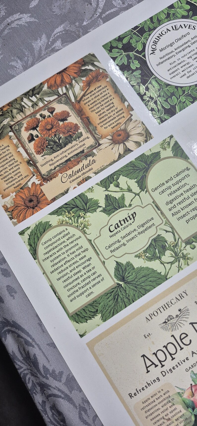 Printable Bee Balm Apothecary Label - Etsy