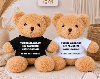 Romantic Proposal Bear, Favorite Notification Teddy Bear, Will You Be My Girlfriend or Boyfriend Gift, , Relationship Keepsake Promposal