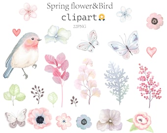 22x Watercolor Spring Delights: Blossom, Flutter, and Bloom with Beauty