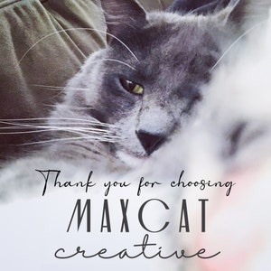 May include: A grey cat with yellow eyes is sleeping on a soft, white surface. The text "Thank you for choosing MAXCAT creative" is written in black on the surface.