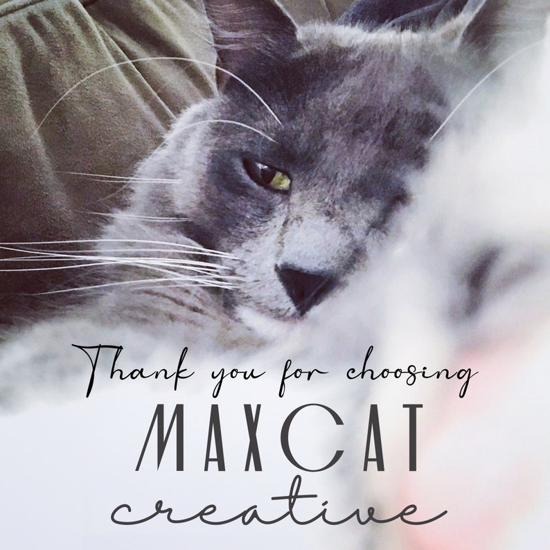 May include: A grey cat with yellow eyes is sleeping on a soft, white surface. The text "Thank you for choosing MAXCAT creative" is written in black on the surface.
