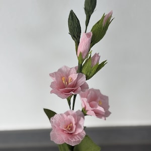 Gladiolus crepe paper flowers