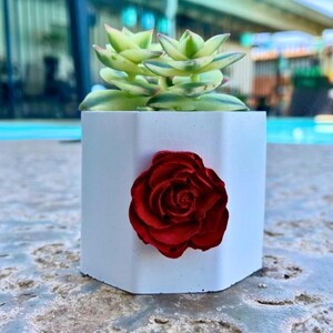 Mini Hexagonal Pot Small Concrete Planter With Drainage Succulent Home Decor Office Desk Accent Airplant Pot Tealight Party Favor Gift Idea
