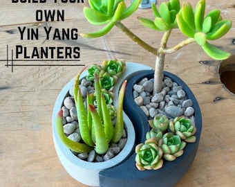 Yin Yang Home Decor Handmade Concrete Planter Live Succulent Arrangement Boho Desk Accessories Patio Accents Gift Idea for Plant Lovers