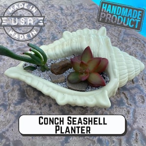 Seashell Planter Beach Wedding Coastal Bedroom Home Decor Seashell Centerpiece for Dinning Table Beach Party Gift Beach Bathroom Accessories