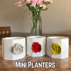 Mini vaso con foro di drenaggio, regalo per la sposa, vaso ottagonale, piccolo vaso minimale, bomboniera per piante grasse, bomboniera per matrimonio