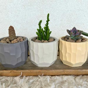 Maceta pequeña para suculentas de interior con orificio de drenaje, decoración minimalista para el hogar, idea de regalo, maceta para plantas de inicio