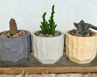 Maceta pequeña para suculentas de interior con orificio de drenaje, decoración minimalista para el hogar, idea de regalo, maceta para plantas de inicio