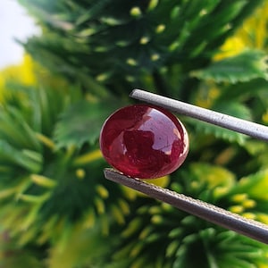 Könnte beinhalten: Ein tiefroter ovaler Edelstein, der mit einer Pinzette vor einem grün-gelben Hintergrund gehalten wird.