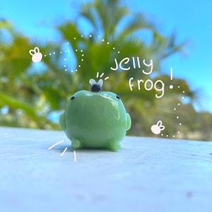 Può includere: Una piccola statuina a forma di rana verde chiaro, arrotondata, con zampette minuscole e una mosca sulla testa. Il testo "jelly frog!" è scritto in bianco. Lo sfondo è una vista sfocata di fogliame verde e cielo blu.