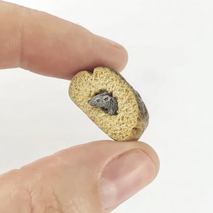 Puppenhaus-Miniatur 1/12 Kleine Maus im Brot!