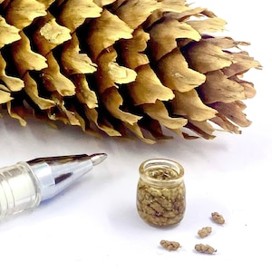 Miniatura domku dla lalek Konfitura z szyszek sosnowych z miodem, słoik ze słodkościami 1:12