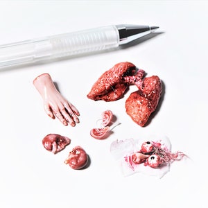 Dollhouse Miniature 1/12 Human Anatomy: lungs, part of the arm, eyes and nose, kidneys, ears