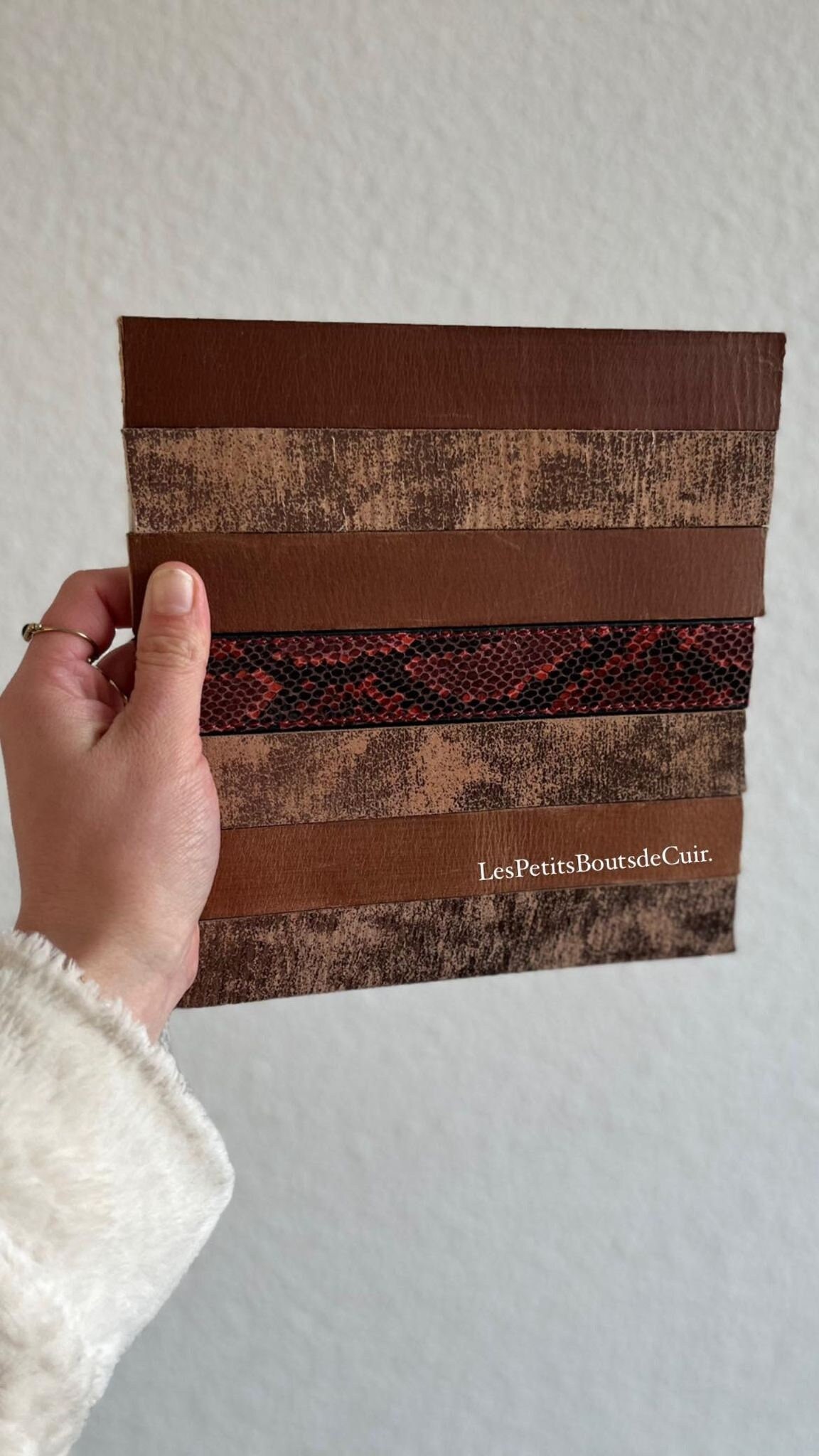 Petit Cekutuveu - Python Rouge