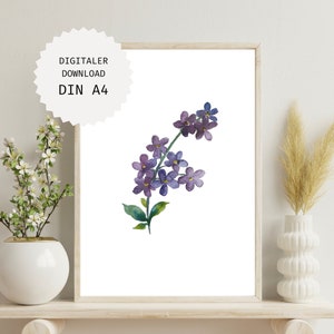 Forget-me-not watercolor | Digital Download Poster Flower | Poster watercolor | Watercolor paintings flowers | Botanical print illustration