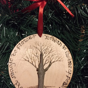 Plaque de sorbier des oiseleurs