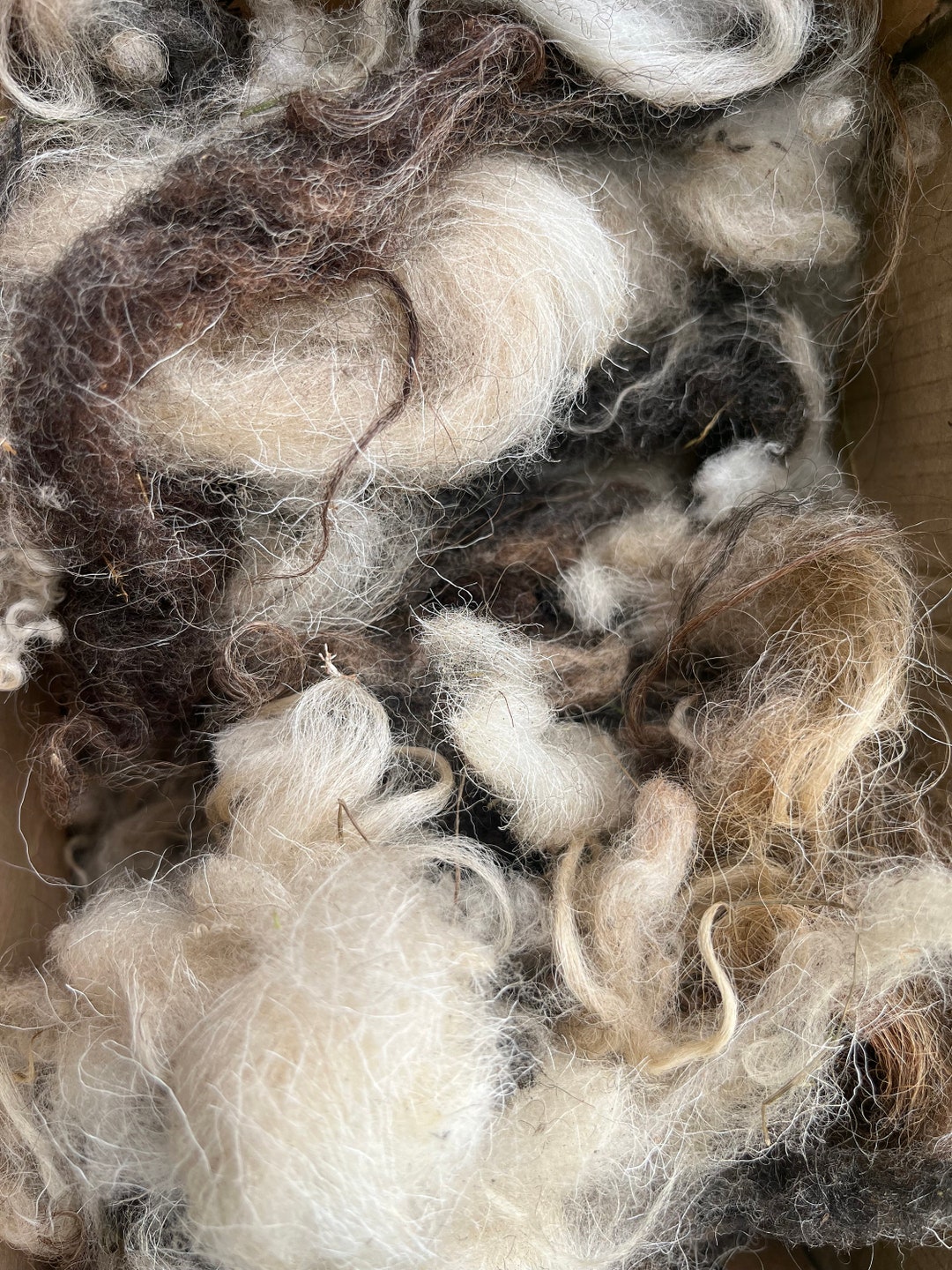 Sheep Wool Mixed Colours, 10 Handfulls - Etsy