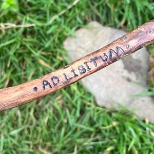 Könnte beinhalten: Nahaufnahme eines Holzstocks mit den Worten "AD LIBITUM" darauf geschnitzt. Der Stock liegt auf einem Bett aus grünem Gras.