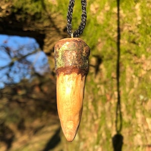 Puede incluir: Un colgante de madera con un acabado marrón y verde cuelga de un cordón negro. El colgante tiene forma de diente y tiene una superficie lisa y pulida.