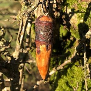 Peut inclure: Un pendentif en bois de couleur brun rougeâtre naturel et de forme pointue. Le pendentif est suspendu à un cordon noir.