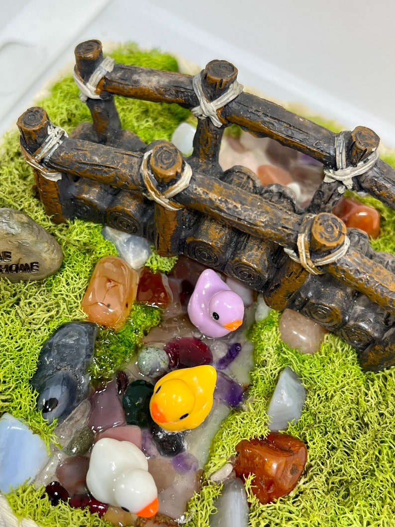 5x5x9 Arboreal Jumping Spider Enclosure Etsy