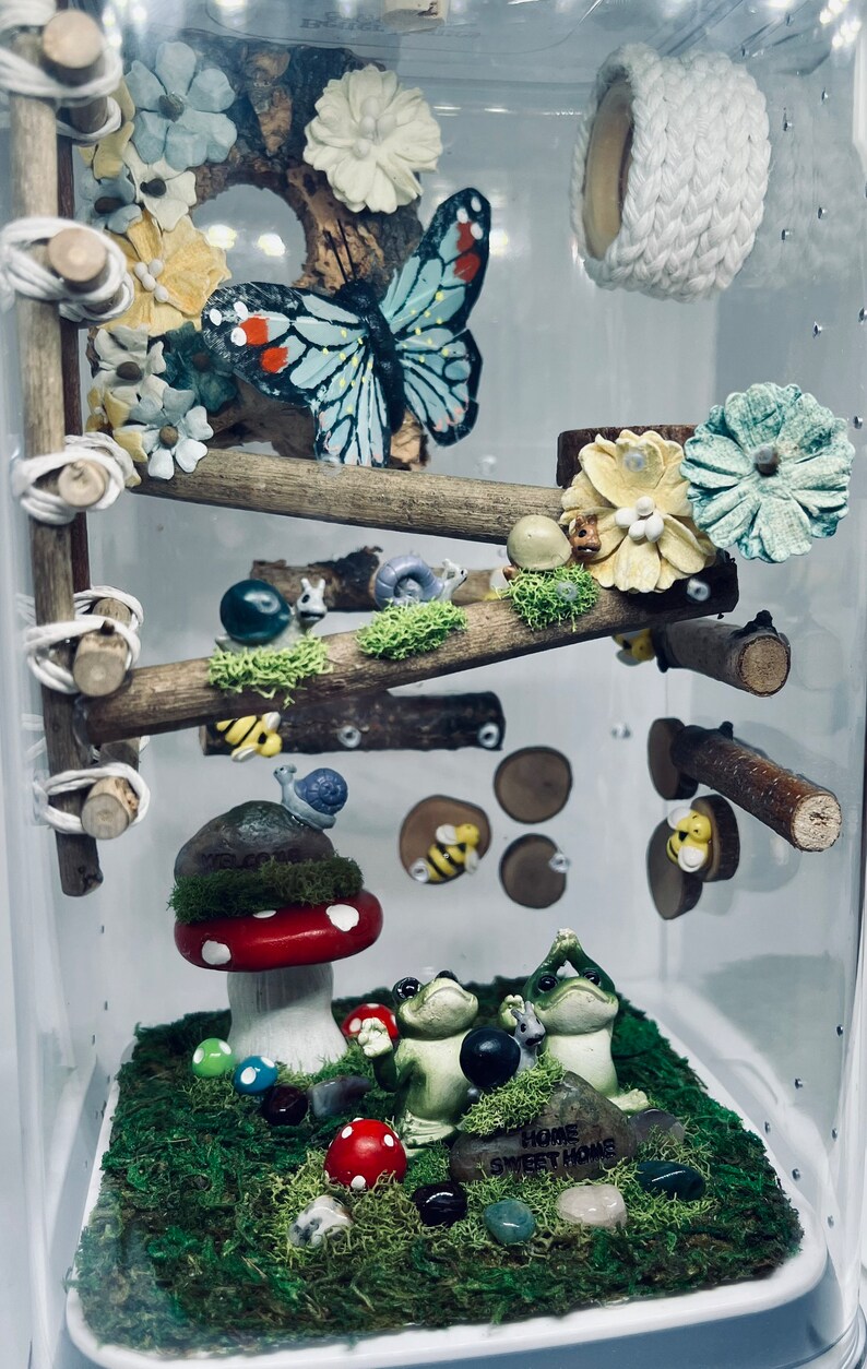 Jumping Spider Enclosure 5x5x9 Basic Plus Arboreal Etsy