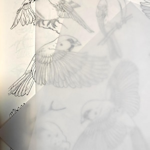 Könnte beinhalten: Eine geschichtete Komposition mit Vogelskizzen auf durchscheinendem Papier, überlagert auf einer Seite mit ähnlichen Zeichnungen. Die Vogelillustrationen sind detailliert und zeigen Flügel, Schnäbel und Federn. Das Bild hat eine weiche, künstlerische Ausstrahlung.