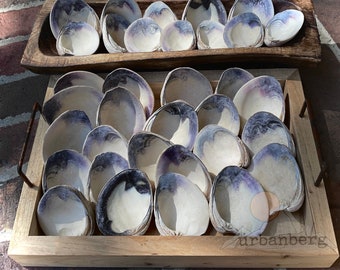 10 Quahog Clam Natural Seashells with Purple Wampum | Bulk Craft Blanks | DIY Decoupage | Coastal NC | Ornament Decor | Beach Gift | Wedding