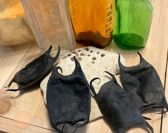 Mermaid's Purse, Devil's Purse, Coastal North Carolina, Shark / Ray Egg Sack Cases, Sea Witch, Curiosity, Spells, Prosperity, Good Fortune