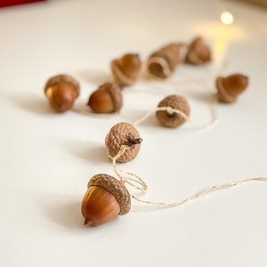 May include: A collection of brown acorns with textured caps and smooth, shiny bodies. Some acorns are strung together with a thin, natural-colored twine, creating a garland effect. The acorns are arranged on a white surface, with a soft, blurred background.
