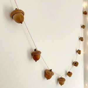 May include: A garland of natural acorns strung on twine, displayed against a white wall. The acorns are various shades of brown, with textured caps. This rustic decoration adds a touch of nature to any space.