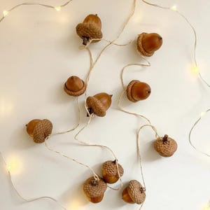 May include: A string of decorative acorns in various shades of brown, with textured caps and smooth bodies. The acorns are strung along a thin, off-white wire, and small, warm white LED lights are interspersed along the wire.