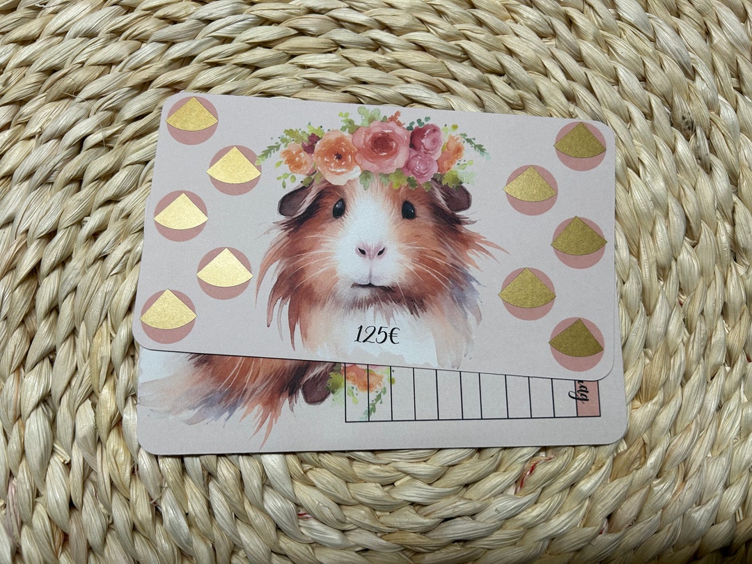 Scratch Challenge Guinea Pigs Etsy