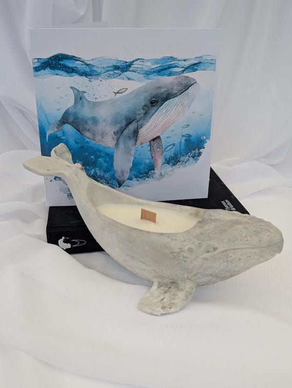 Cute Whale Candle | Cute Animal Candle | Whale Lover Gift | Bundle Candle and Card Gift | Wildlife Lover Gift | Vegan Candle | Non-Toxic