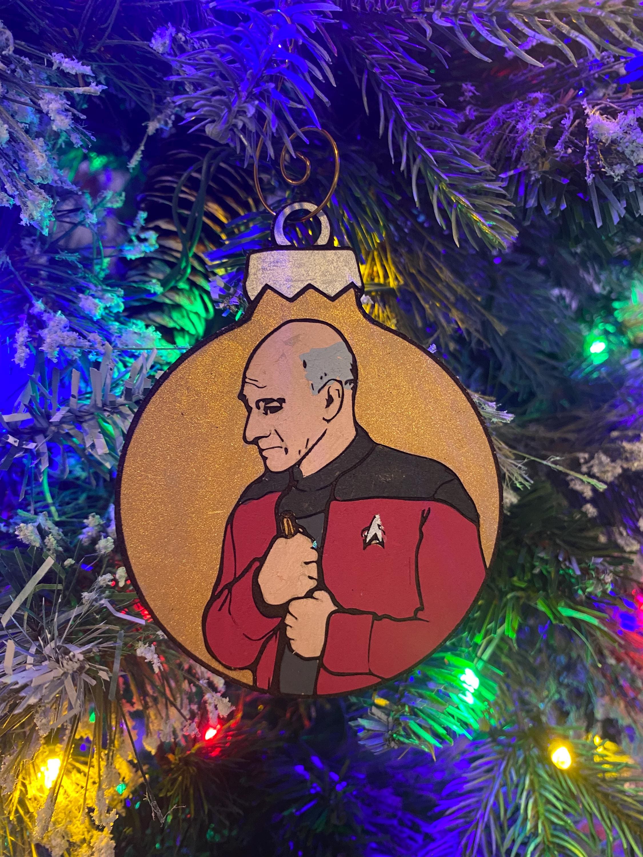 スティール &シェード ：ペーパーバック 2011/3/22 Star Trek Inner Light - Etsy