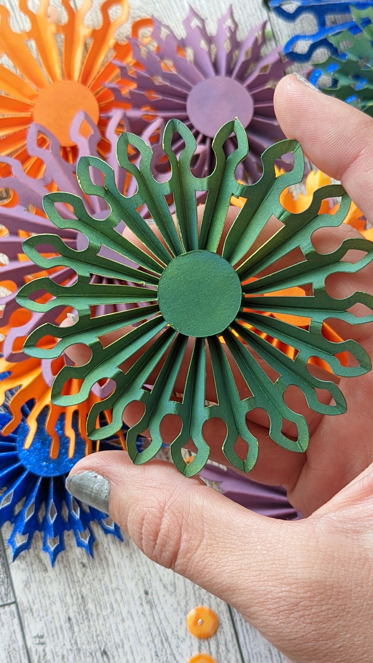 PNG Rosette Cut File Bundle Four Types of Rosettes for - Etsy