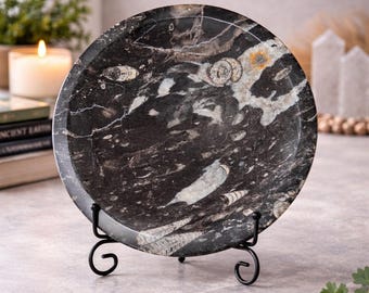Orthoceras Fossil Bowl, Ancient Marine Fossil Stone Décor, 7.5+ Inches