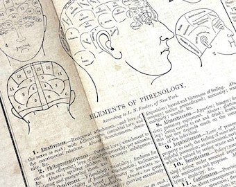 Extraño libro de 1844 sobre memorización, con ejemplos de frenología, ajedrez y constelaciones. Diccionario freno-mnemotécnico de Francis Fauvel-Gouraud.