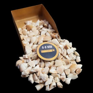 Crushed Coarse Natural Fossile Shell Gemstone 6-8mm For Wood Inlay Ring Inlay Wood Working Crafts Making